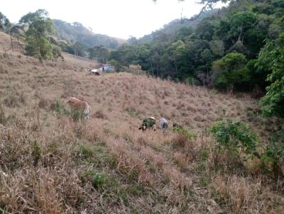 Terreno para Venda, em Camanducaia, bairro Estrada So Bento