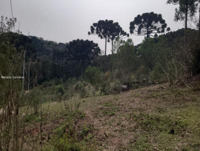 Terreno Rural para Venda, em Agudos do Sul, bairro Taboo