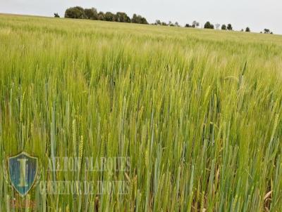 Fazenda para Venda, em Avar, bairro RURAL