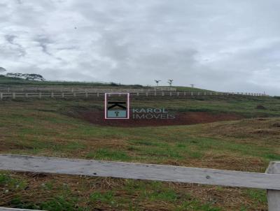 Lote para Venda, em Maria da F, bairro gua Limpa