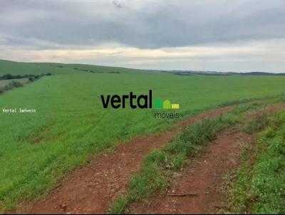 rea Rural para Venda, em Boa Vista do Cadeado, bairro Interior - Rural - pecuria - agricultura - bovino - reflorestamento - lavoura