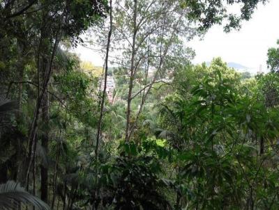 Terreno para Venda, em , bairro Rio Tavares