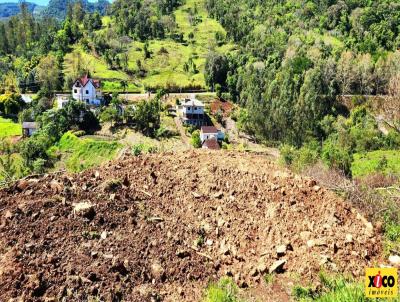 Terreno para Venda, em Picada Caf, bairro Picada Holanda