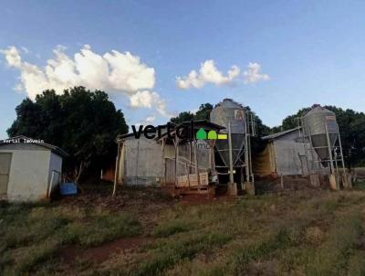 rea Rural para Venda, em Frederico Westphalen, bairro Interior - RURAL