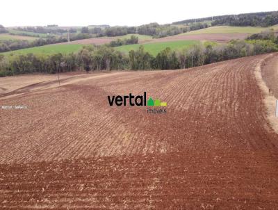 rea Rural para Venda, em Santa Rosa, bairro Interior - RURAL