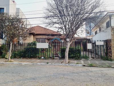 Terreno para Venda, em So Paulo, bairro Vila Carro