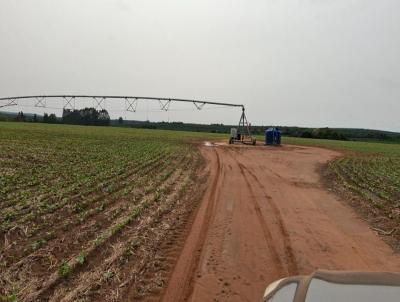 Fazenda para Venda, em Avar, bairro Rural