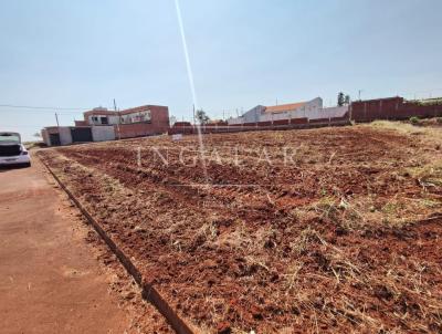 Terreno para Venda, em Iguarau, bairro Terra Bella