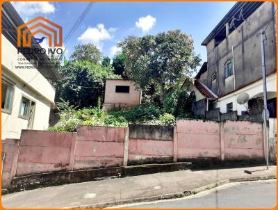 Lote para Venda, em Lima Duarte, bairro Santa Terezinha