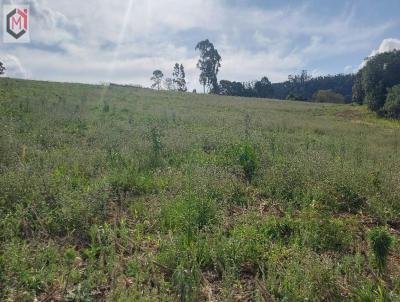 Terreno para Venda, em Tuiuti, bairro Centro