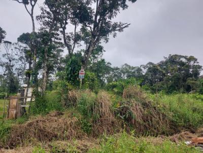 Terreno para Venda, em Guaratuba, bairro BAL. ELIANA, RUA CORNLIO PROCPIO