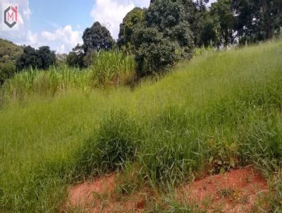 Terreno para Venda, em Pinhalzinho, bairro Centro