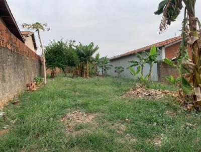 Terreno para Venda, em Campinas, bairro Vila Aeroporto