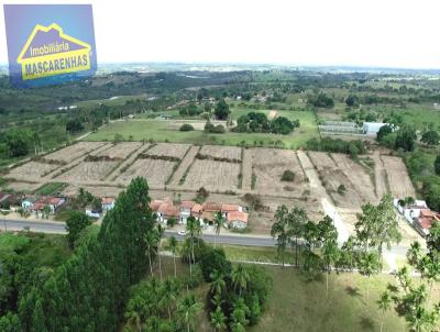 Lote para Venda, em So Gonalo dos Campos, bairro BA 502