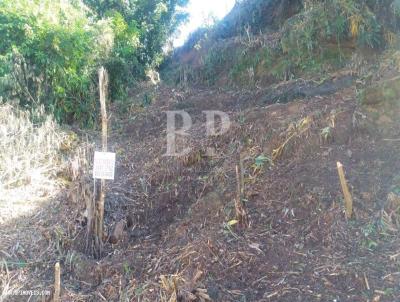 Terreno para Venda, em Terespolis, bairro Granja Guarani