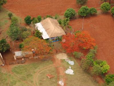 Fazenda para Venda, em Pitangui, bairro , 4 dormitrios, 2 banheiros, 1 sute