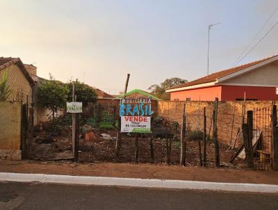 Lote para Venda, em Pitangueiras, bairro Centro