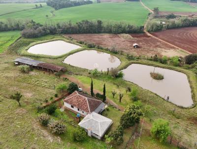 Chcara para Venda, em Santa Rosa, bairro Interior