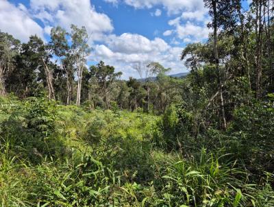 rea para Venda, em Antonina, bairro Jaguatirica