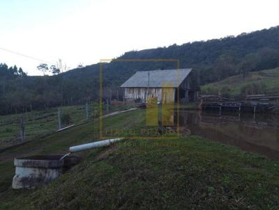 Chcara para Venda, em Gramado, bairro Zona Rural