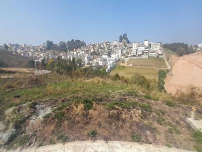 Lote para Venda, em Barbacena, bairro Campo