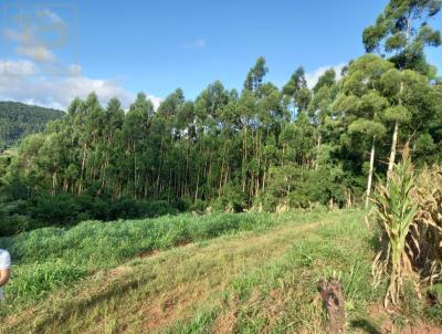 Chcara para Venda, em Morro Reuter, bairro So Jos do Herval