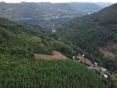 Chcara para Venda, em Morro Reuter, bairro So Jos do Herval