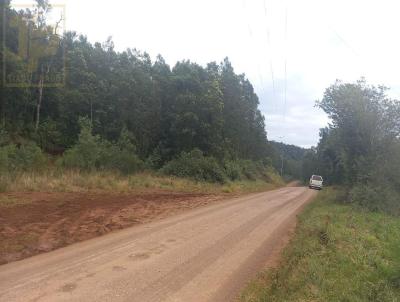 Chcara para Venda, em Morro Reuter, bairro Centro