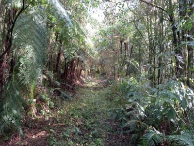 Chcara para Venda, em Morro Reuter, bairro So Jos Herval