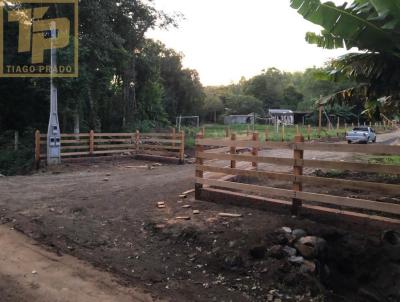 Chcara para Venda, em Nova Hartz, bairro Zona Rural