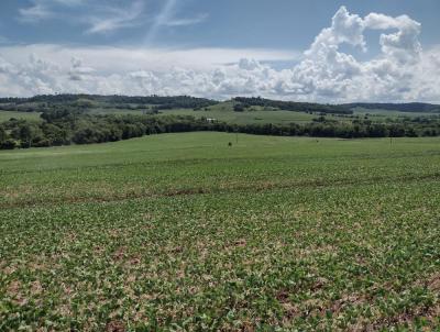 Terra para Venda, em Planalto, bairro .