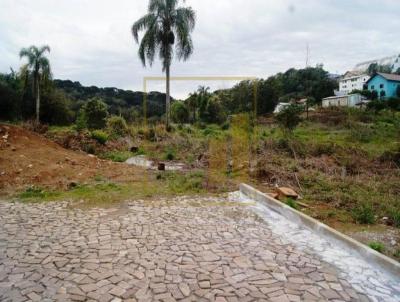 rea para Loteamento para Venda, em Nova Petrpolis, bairro Logradouro