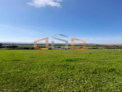 Terreno Rural para Venda, em Silvianpolis, bairro Morro Grande