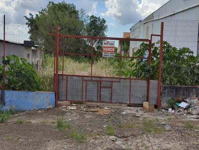 Terreno Comercial para Venda, em Apucarana, bairro Jardim Ponta Grossa