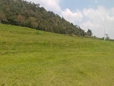 Terreno para Venda, em Santana de Parnaba, bairro Alphaville - Santana de Parnaba - SP