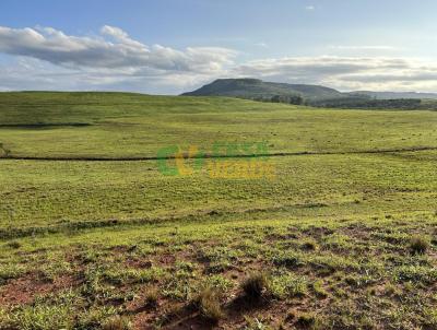 Fazenda para Venda, em , bairro 