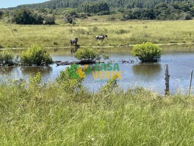 Fazenda para Venda, em Pntano Grande, bairro 