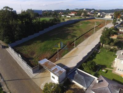 Terreno para Venda, em Garibaldi, bairro Peterlongo