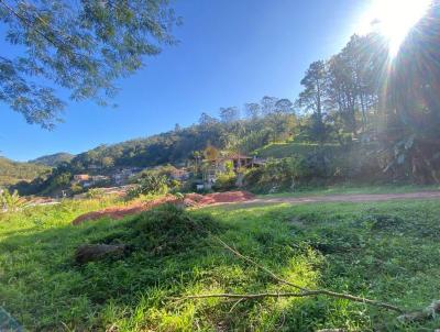 Terreno para Venda, em Terespolis, bairro Albuquerque