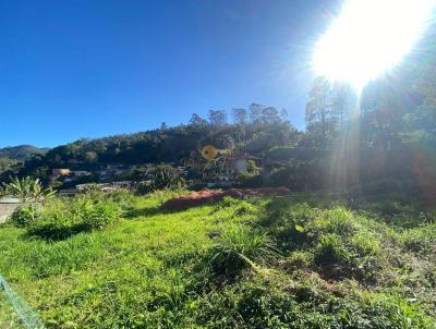 Terreno para Venda, em Terespolis, bairro Albuquerque