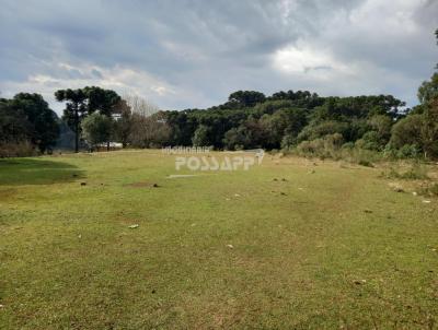 rea para Venda, em Vacaria, bairro Imperial