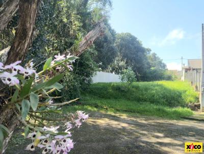 Terreno para Venda, em Nova Petrpolis, bairro Pousada da Neve