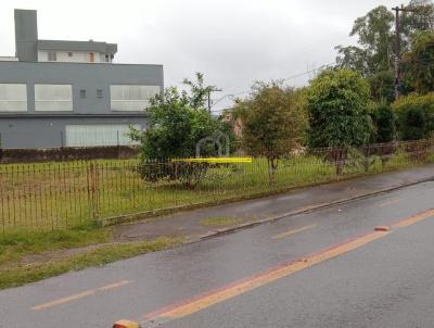 Terreno para Venda, em Joinville, bairro Saguau