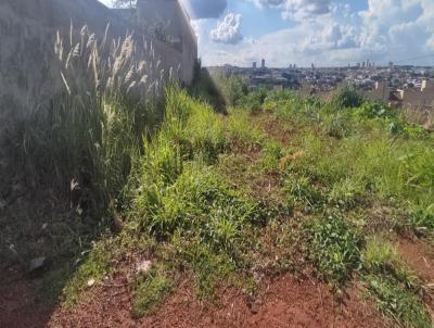 Terreno para Venda, em Jata, bairro Vila Sofia