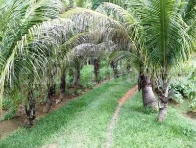 Chcara para Venda, em Dorndia (Barra do Pira), bairro Comunidade Santo Antnio