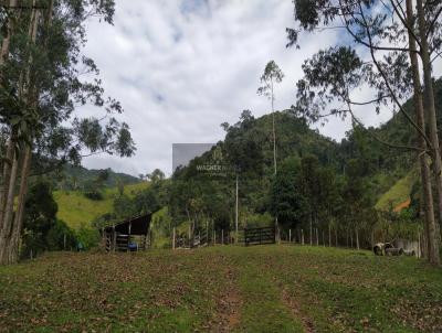 Stio para Venda, em Paraty, bairro Paraty Mirim, 2 dormitrios, 2 banheiros, 4 vagas