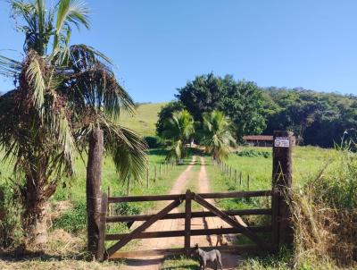 Stio para Venda, em Leopoldina, bairro Trs Cruzes