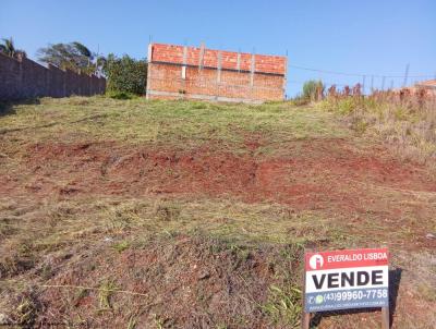 Terreno para Venda, em Cornlio Procpio, bairro Maanain