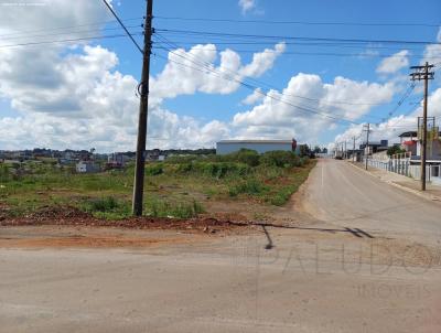 Terreno para Venda, em Marau, bairro Vila Bella