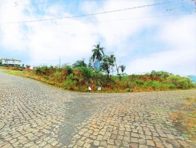 Terreno para Venda, em , bairro Aliana